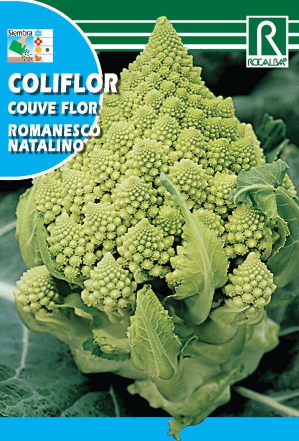 Semillas - Imagen 3