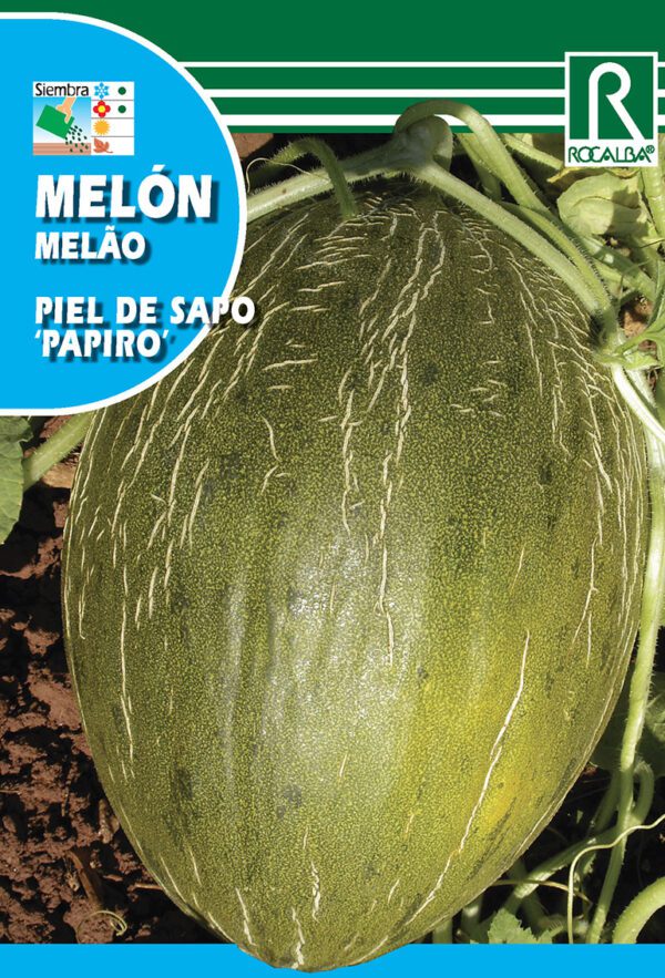 Semillas - Imagen 5