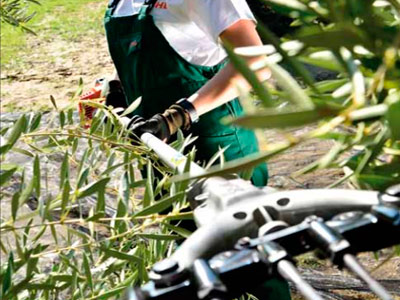 Productos para Olivos y viñas